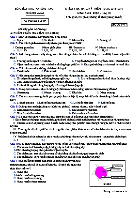 Đề kiểm tra học kỳ I môn Sinh học Lớp 10 - Mã đề 413 - Năm học 2018-2019 - Sở giáo dục và đào tạo tỉnh Quảng Nam